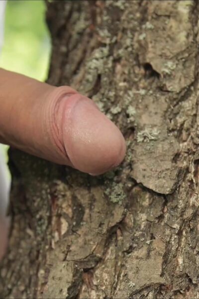 Outdoor raw sc3