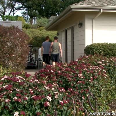 James jamesson, vance crawford spencer fox