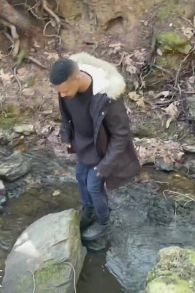 Adrian hart felix fox