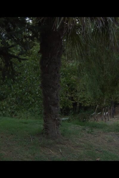 Sacred band of thebes – part 4