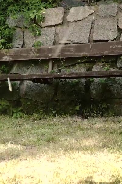 Offside trap – scene 2